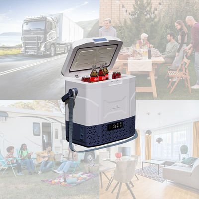 12L グリーン/ブルー/ブラウン 自動車冷蔵庫 冷蔵庫 フランスのOEMカー用のAC/DCポータブル冷蔵庫
